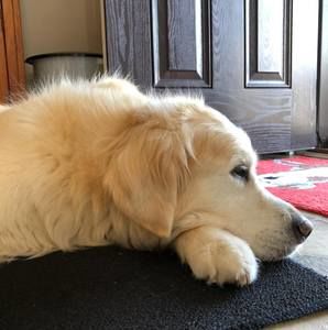 Meet your Posher, Marcie